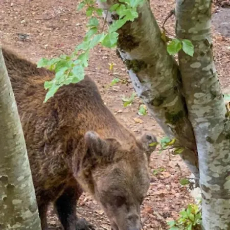 Appart hôtel Luxory In 4 Star St Ivan Rilski,