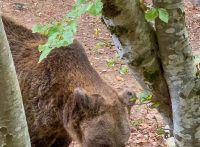 Apartmanhotel Luxory In 4 Star St Ivan Rilski,